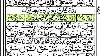 Surah yaseen .surah Rehman.surah mulk .surah waqiya .surah muzzamil beautiful voice of mushiry