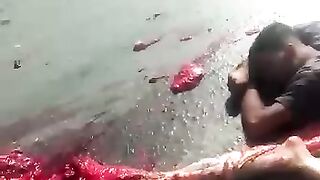 Accident #febspot.com