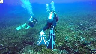 Something dangerous inside the sea