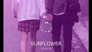 Post Malone  Sunflower - Slowed
