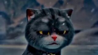 The cat And fish emotional story