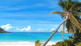 meditation for all#sea view lover#popular
