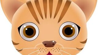 Cute funny cat ???? kitten #shorts#febspot