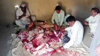 Thall me ghost kesae Kata jata ha#????????????