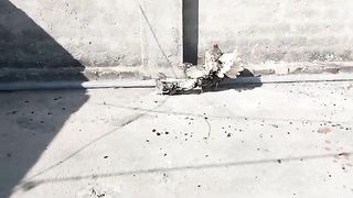 Coryza ka behtreen ilaaj