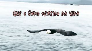 Motivacional para sua semana, me siga que eu te sigo de volta