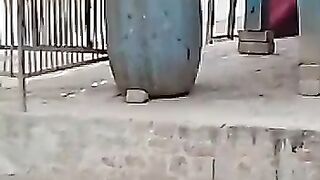 Bird Searching for Food