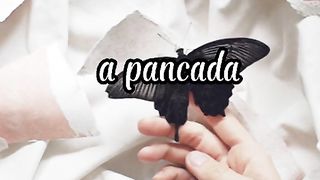 Motivacional para seu dia, me siga que eu sigo de volta
