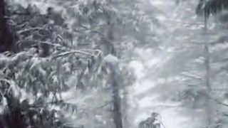Snow in the summer Swat tour brings the magic