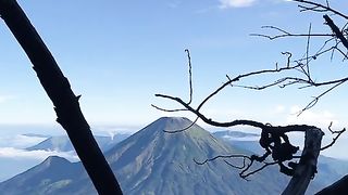 mountain beauty