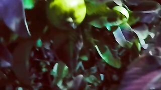 Natural fruit