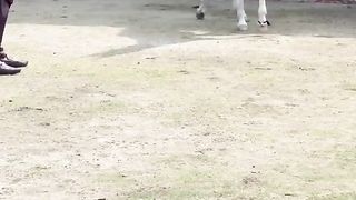 ????????????????????????