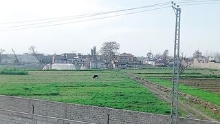 Goun ka mahol
