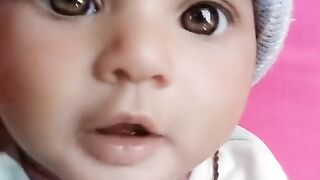 The best video in the world