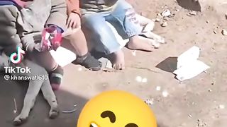 Dog bndy mashum Nast di