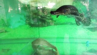 #Fishyyy