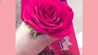 Valentine Day