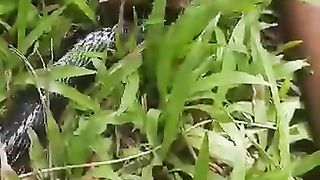 Snake girl on foot