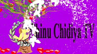 Cartoons video