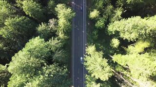 Drone shot of Hidden forest road. 4k