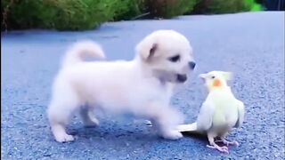 Wao nice friendship