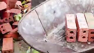Amazing Gardening Work
