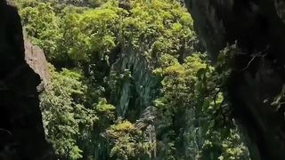 Beautiful World