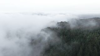 Clouds, Thick Forests - unmatched view