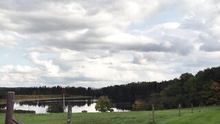 A lake surrounded by beautiful forests