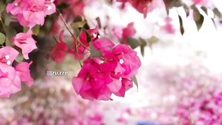 Beautiful dua