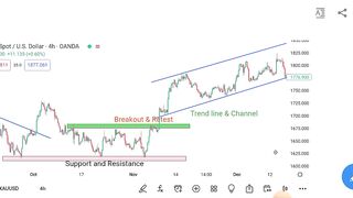 Forex Basics for biggnners