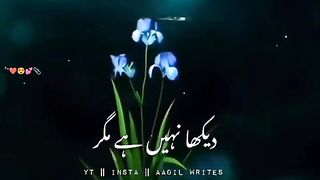 Naat status