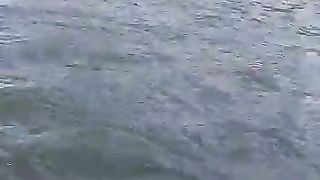 Canal view UK
