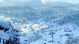 beauty nature