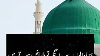 New Video WhatsApp Status