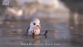 Mera Khuda Bara Hai