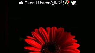 New Video WhatsApp Status