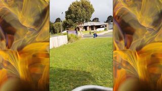 Funny videos