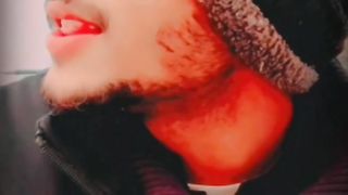 Funny videos