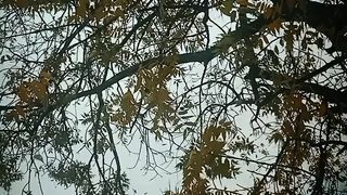 beautiful weather in kashmir