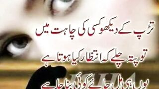 tararp ke khao kisee ki chahat main Mughal poetry 25