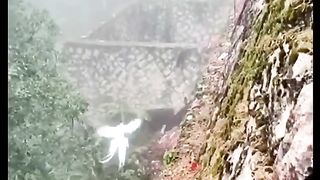 Nice video ????????????????????