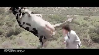 Kung pow video