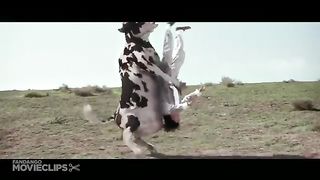 Kung pow video comedy