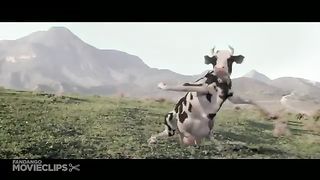 Kung pow video