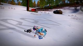 Ice snow names/pubg mobile