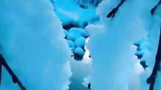 Beautiful Nature