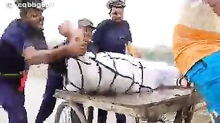 funny video just for fun