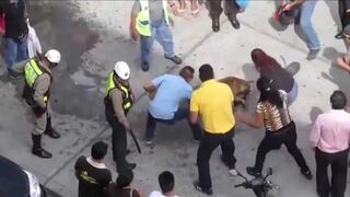 Dog._fighting_Amazing__