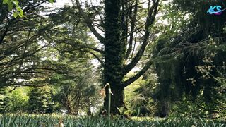 Amazing Nature Scenery & Relaxing Music for Stress Relief.